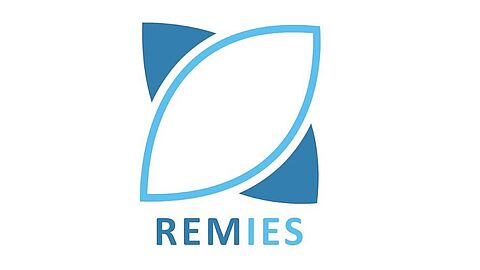logo remies